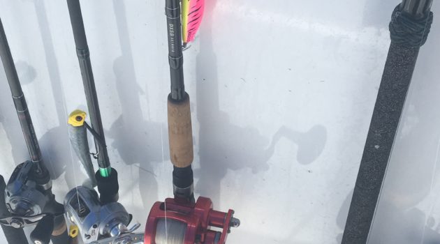 Choosing A Saltwater Fishing Rod