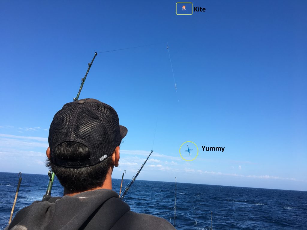 SoCalSalty – VIDEO: Big Bluefin Kite Fishing The Yummy