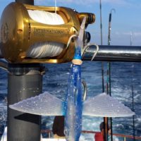 VIDEO: Big Bluefin Kite Fishing The Yummy