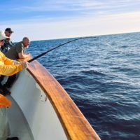 Trip Report: 1.5 Bluefin or Bust Trip on the Ocean Odyssey