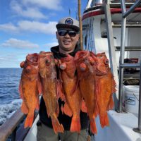 Making Sense Of The New Rockfish Regulations