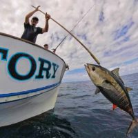Trip Report: Bluefin Victory