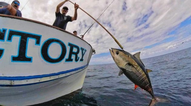 Trip Report: Bluefin Victory
